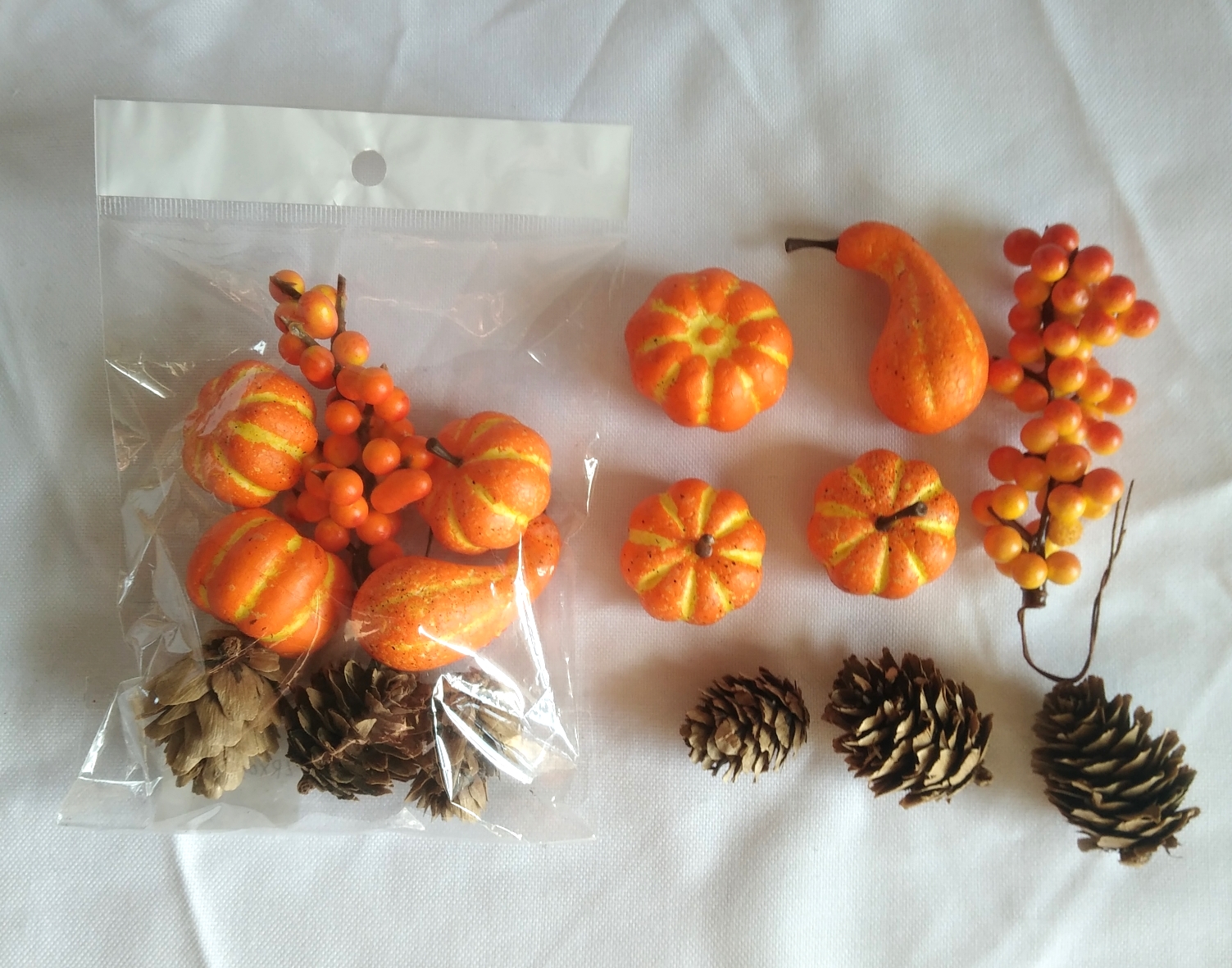 Mini Pumpkin,acorn,corn